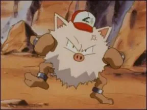 Qui est ce Pokémon ?