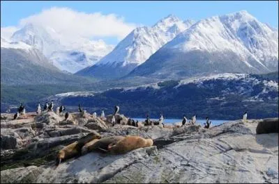 Si vous avez choisi cette destination de rêve qu'est la Terre de Feu, pour partir en voyage, visiter Ushuaïa et Rio Grande, voir le glacier Martial, dans quel pays serez-vous ?