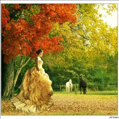 Dans quel poème de Lamartine écrit-il " Salut, derniers beaux jours ! le deuil de la nature Convient à la douleur et plaît à mes regards ! " ?