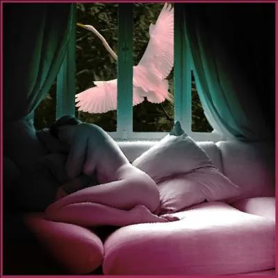 Qui chantait "Je l'ai rêvée si fort que les draps s'en souviennent" ?