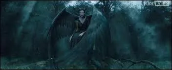 Qui lui a coupé les ailes ?