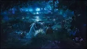 Comment s'appelle le royaume où vit Maléfique ?