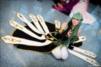 Quel personnage représente ce cosplay ?