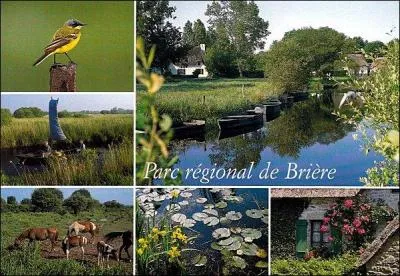 Autrefois, on récoltait la tourbe du marais de la Brière. Aujourd'hui, on y navigue encore grâce à une barque appelée 'chaland'. Vous pourrez y admirer la faune et la flore, riches et remarquables, en vous rendant au nord de l'estuaire de la Loire, dans le département de :
