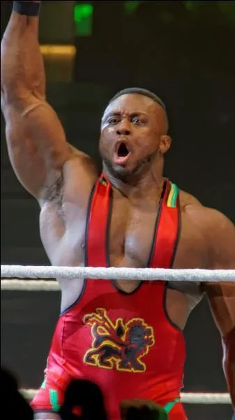 Qui est ce catcheur ?