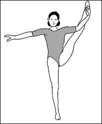 Comment s'appelle cette figure ?