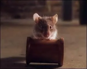 Comment s'appelle cette petite souris qu'a apprivoisée Edouard ?