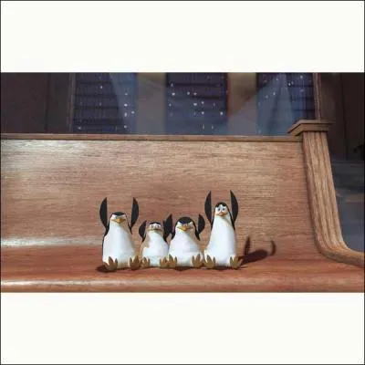 O sont les pingouins?