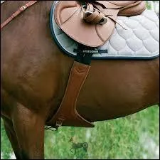 Qu'est-ce qui fait en sorte que notre selle ne bouge pas ?