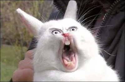 Cette photo est-elle truquée ou réelle ?