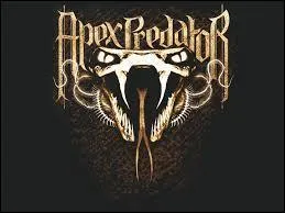 A quel catcheur correspond ce logo ?