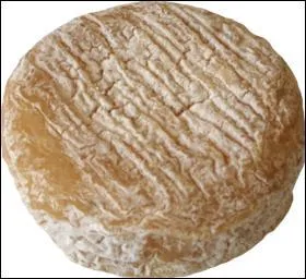 Voici un fromage de chèvre de la Vallée du Rhône :
