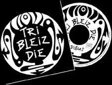 Tri Bleiz Die est un groupe qui présente la particularité de ne chanter qu'en breton. D'ailleurs, ils ont chanté l'hymne d'une équipe de foot bretonne qui joue en jaune. Quelle est cette équipe ? (En lien, vous pourrez écouter leur version de ''Bro gozh ma zadoù'' .)