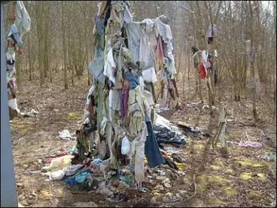 Voici deux listes de mots sensés être de la famille de peau. Voyez-vous un ou plusieurs mots qui ne sont pas de la famille de peau ?
"dépiauter, pelletier, pellagre, peler"
"peausser, pellicule, pelisse, oripeau"