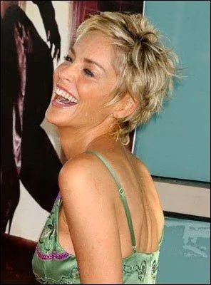 Beaucoup moins de longueur et de cheveux pour cette coupe flatteuse si on a les traits fins et jolis comme ceux de Sharon Stone. On appelle cette coupe ?