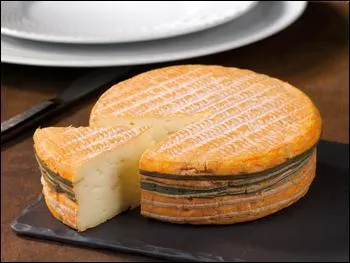 Voulez-vous un petit morceau de fromage ?