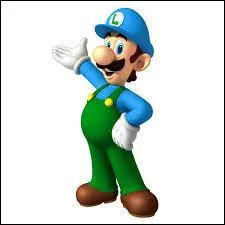 Quelle est la couleur du chapeau de Luigi ?