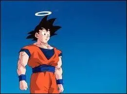 Pourquoi Sangoku porte t-il une auréole ?