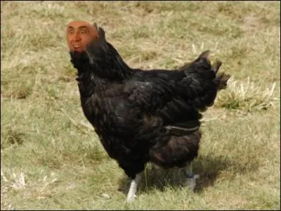 Cette photo est-elle truquée ou réelle ?