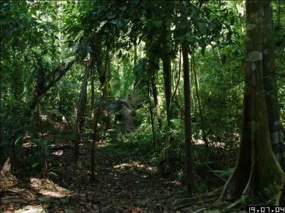 Cette photo est-elle truquée ou réelle ?