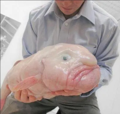 Cette photo est-elle truquée ou réelle ?