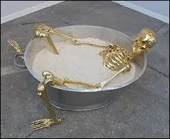 Regardez ce squelette brillant..... et dites-moi avec quoi le revêtir