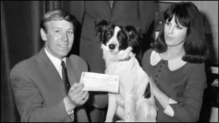 1966 : Quel est le rapport entre ce chien, et cette Coupe du monde?