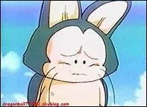 Comment s'appelle le cochon ?