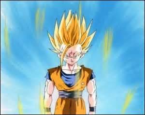 Quiz Vegeta