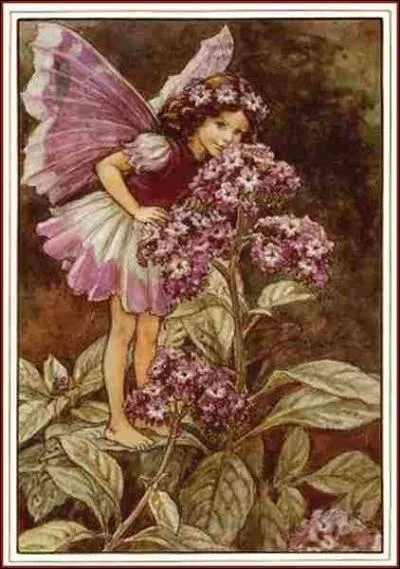 Un ravissant nom pour celle-ci ...