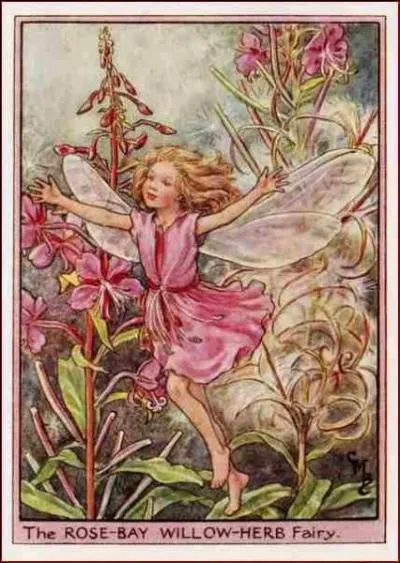 Saint-Antoine lui a prêté ses lauriers :