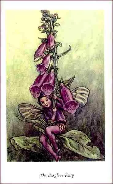 Comment l'illustratrice a-t-elle appelé cette fée ?