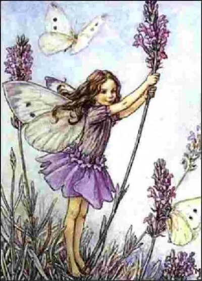 Cette fée porte le nom de la fleur qu'elle tient à la main ...