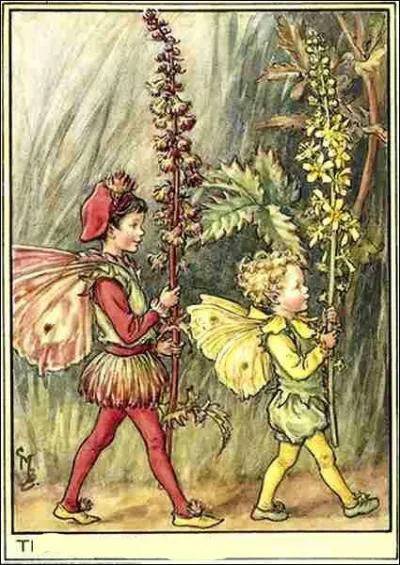 Quel nom porte cette fée ?