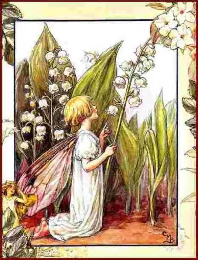 Voici une jolie petite fée du nom de ...