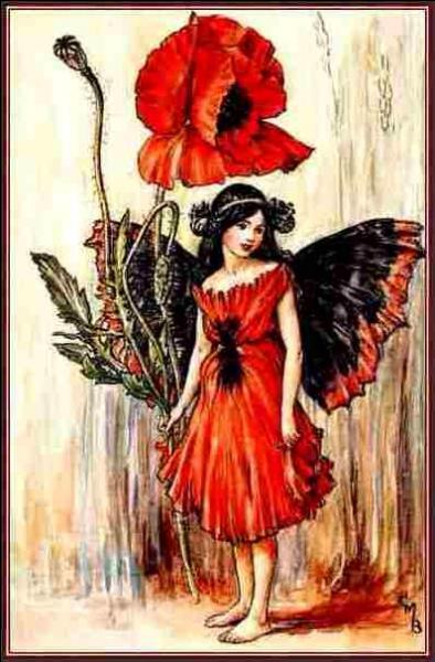 Mary Barker a associé les fées aux fleurs, quelle est cette fée ?