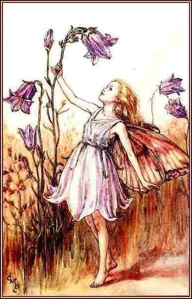 Grâce aux fleurs, retrouvez le nom de cette fée :