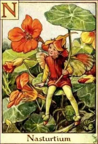 Celle-ci est magnifique, quel est son nom ?