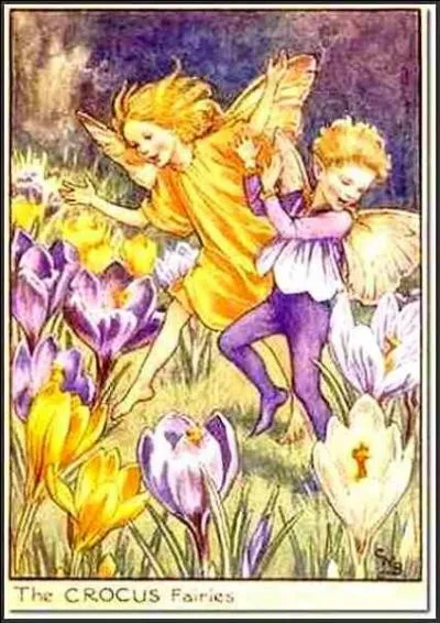 Comment Mary Barker a-t-elle nommé cette fée ?