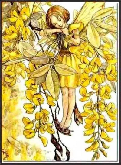 Trouvez le nom de celle-ci :