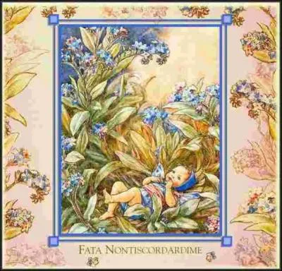 Cette illustration a un bien joli nom :