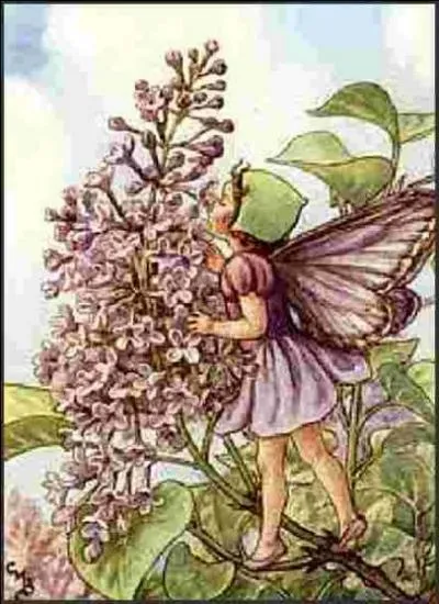 Quel est le nom de cette illustration ?