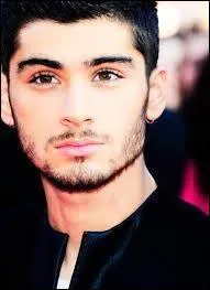 Quand est né Zayn Malik ?