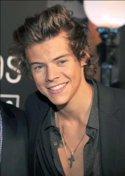 Comment s'appelle le beau-père de Harry ?