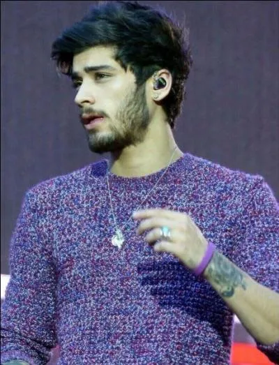 Qui est la petite amie de Zayn ? (2014)
