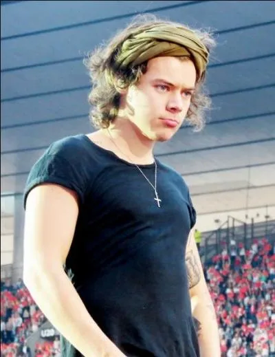 Dans quel groupe jouait Harry avant d'être connu ?