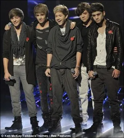 Qui a réuni les garçons pour former le groupe One Direction ?