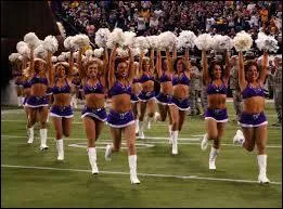 Ne les confondez pas avec des pom-pom girls ! Quel est le thème de cette image ?