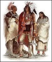 Je pense que c'est facile... L'indice est "peaux-rouges". Quel est le thème de cette image ?