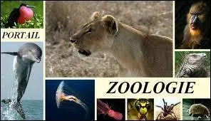 En zoologie, la malacologie étudie :